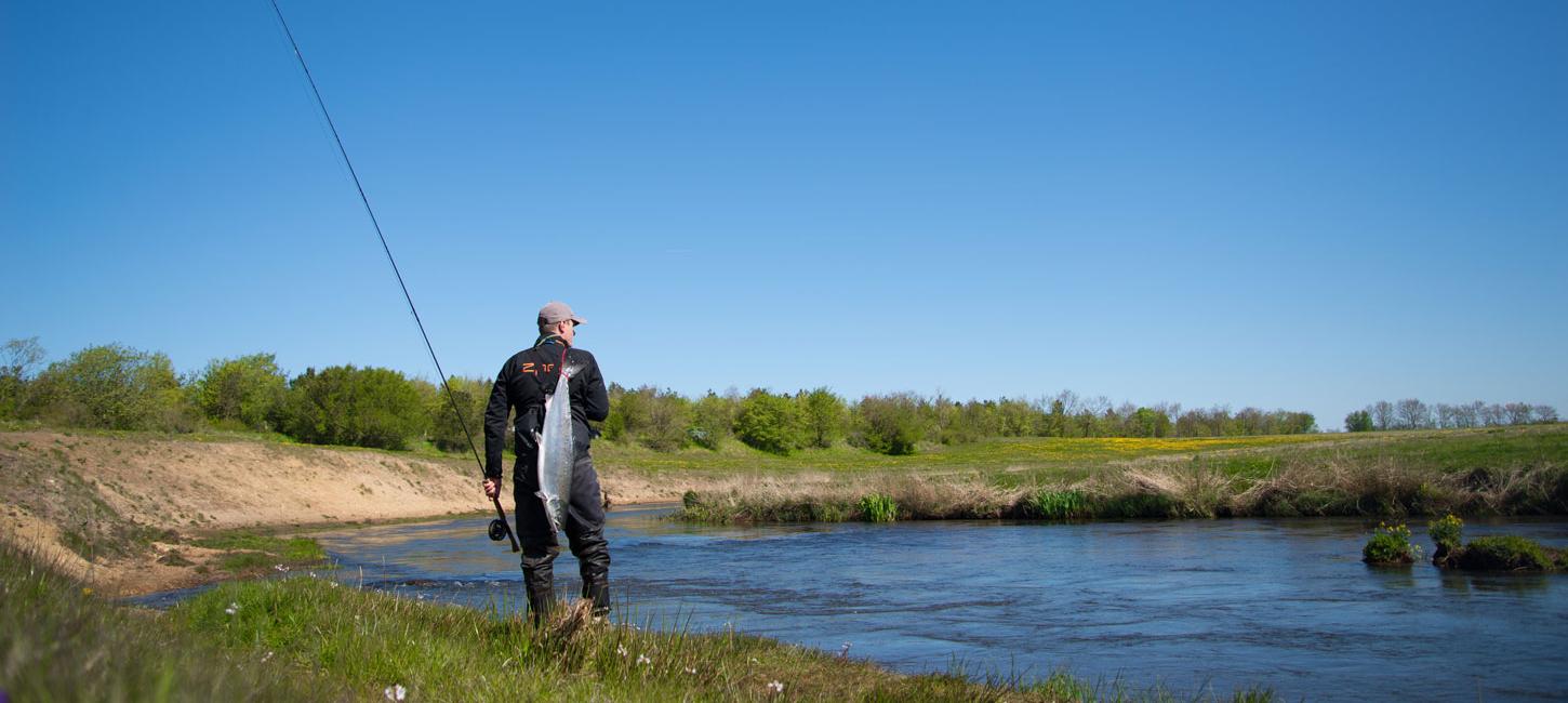 Skjern Å (Skjern stream) 