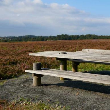 Præstbjerg Naturcenter (Praestbjerg nature center) 