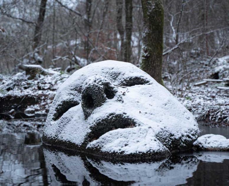 Deep Forest Art Land